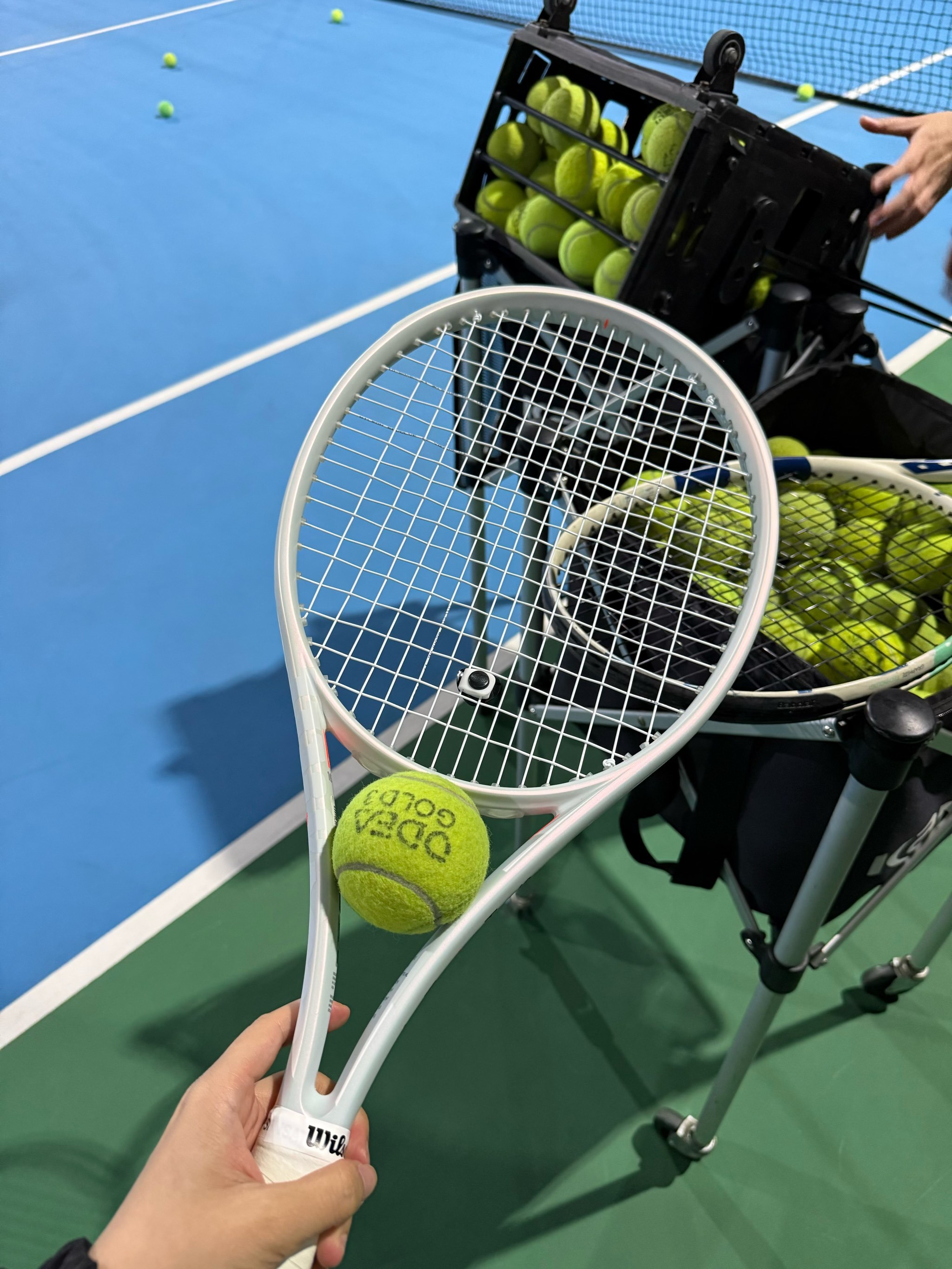 获取更高排 获取更高排