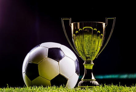 球队的教练 球队的教练